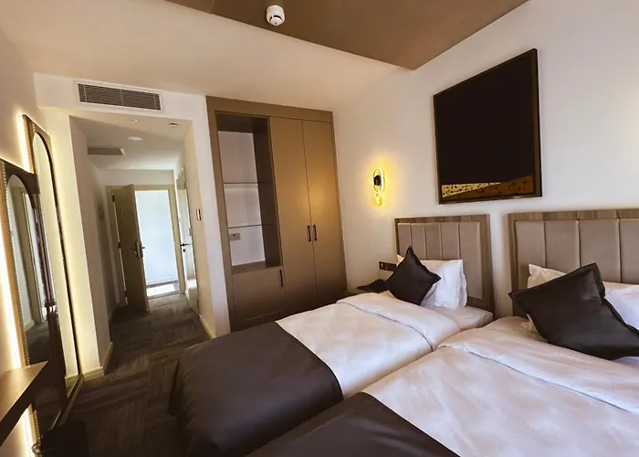 ホテル Dorana Art 3*