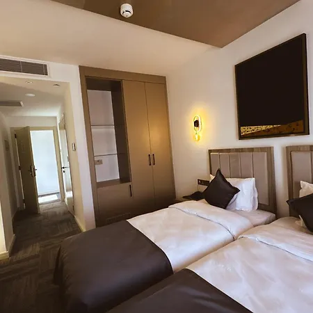 Hotel Dorana Art 3*